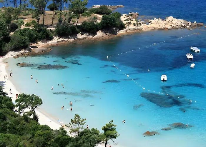 Apartman Pieds Dans L'eau *